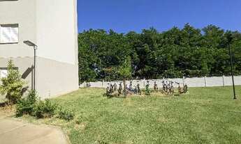 Imagem 5: REcanto das Palmerias barato reformado