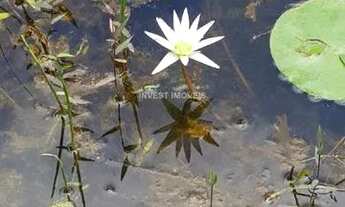 Imagem 2: Sítio - Piau MG