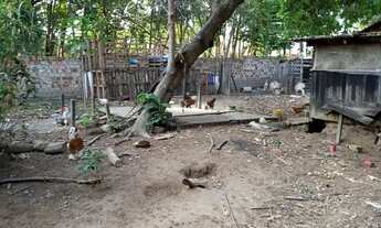 Imagem 4: Vende-se uma chácara