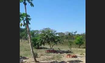 Imagem 6: CÓD026 - SÍTIO- 97HECTARES -Terenos/MS