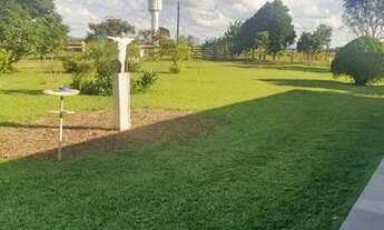 Imagem 2: Fazenda com 970 ha planta 200 ha em Carmo do Paranaiba MG