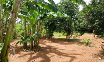 Imagem 2: Fazenda 17 ha, riacho nos fundos, lagoa de peixes, água por gravidade, Serra do Cipó