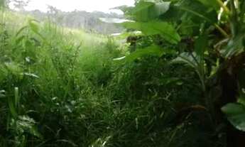 Imagem 15: Vendo uma colônia de 632 hectares, com 35 hectares de pasto mais 40 hectare