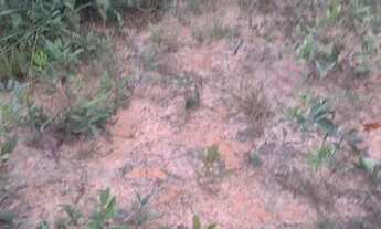 Imagem 2: Vendo lote Terreno / lote com venda por R$85.000