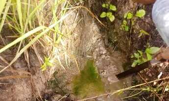 Imagem 5: Vendo uma colônia de 632 hectares, com 35 hectares de pasto mais 40 hectare