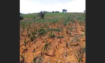 Imagem 6: Chácara em Bela vista meio alqueire, Go. 0.20 50km de Goiânia 200.000
