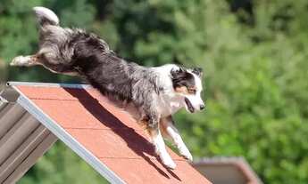 Imagem 7: CONDOMÍNIO FECHADO SWISS PARK ANAPOLIS GO