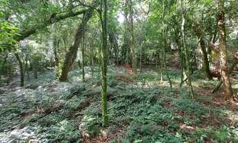 Imagem 3: Terreno à Venda em Canela!