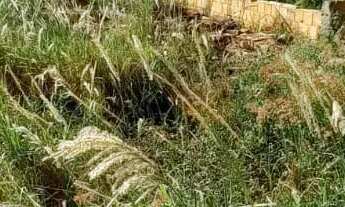 Imagem 5: Terreno de 2.200m² Proximo ao Morada Nobre e Morro da Capelinha