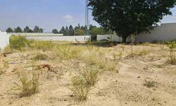 Imagem 10: Terreno - Loteamento Alphaville Campinas - Campinas