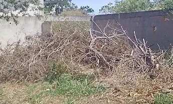 Imagem 6: Terreno na Colinas do Peró 250m2 (10x25) - Preço mais baixo da região