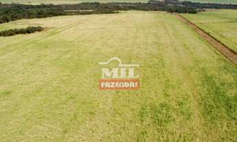 Imagem 2: Fazenda 113 alqueires (547 hectares ) Acreuna - go