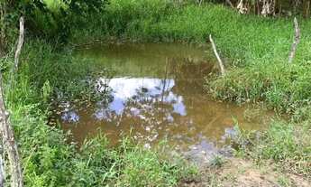 Imagem 2: Sítio para Venda em Flexeiras, Zona Rural, 3 dormitórios, 1 banheiro, 1 vaga