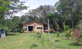 Imagem: BAIXOU - Sítio 3 hectares - Fazenda Fialho/Taquara-RS