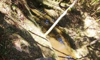 Imagem 3: Chácara com lago em Juquitiba