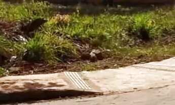 Imagem: LOTE- Pontal Sul - Aparecida de Goiânia