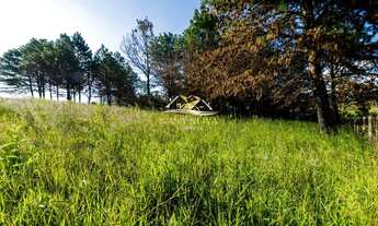 Imagem 7: Área São Luiz do Purunã - Witmarsum 31alq BR 376