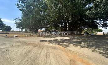 Imagem 3: Comercial Área em Piracicaba