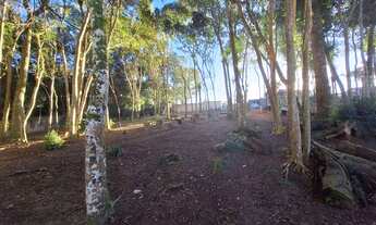 Imagem 3: Chacara 1540 metros ! Todo murado