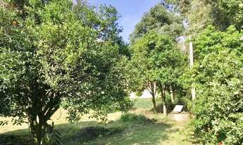 Imagem 4: Terreno para Venda em Nova Petrópolis, Logradouro