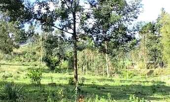 Imagem 4: Chácara,casa, açudes, frutíferas, excelente localização