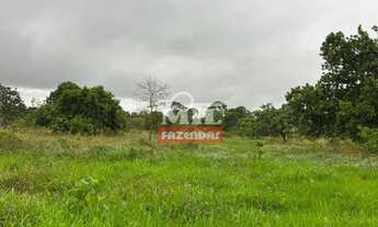 Imagem 4: Fazenda 131,7 alqueires (637,4 hectares) São Luiz do Norte - Go