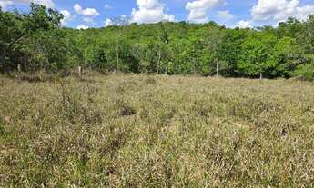 Imagem 6: Chácara de 2.000mt com corrego em crominia só 2km do asfalto ,10km da cidade ,Ótima lazer