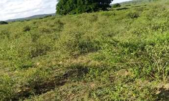 Imagem: Vendo Terreno em Ribeira do Pombal