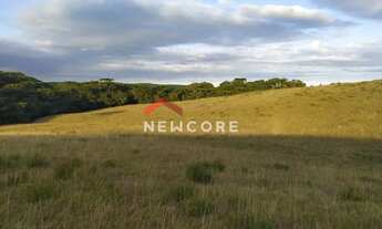 Imagem 2: Lote em Estrada do Blang - Interior - São Francisco de Paula/RS