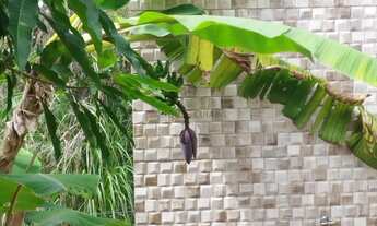 Imagem 3: Casa com três terrenos juntos de 12 x 30 cada, totalizando 1.000 M² no condomíni