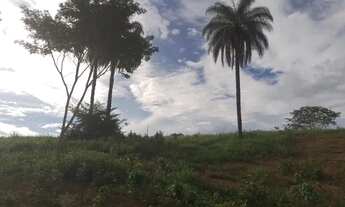 Imagem 4: VENDE-SE UM TERRENO NO MUNICÍPIO DE FUNILÂNDIA