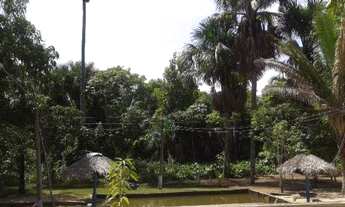 Imagem 7: Sitio em Povoado Shalom em Caxias - MA - Sentido Caxias/Timon a 30 km de Caxias