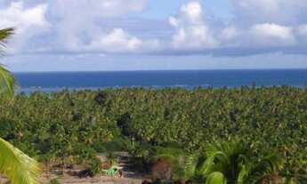 Imagem 4: Loteamento na Praia de Antunes em Maragogi-AL
