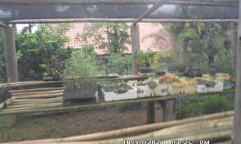 Imagem 6: A RC + IMÓVEIS VENDE FAZENDA ESPETACULAR DE 190 HA EM ATIVIDADE EM JUIZ DE FORA - MG