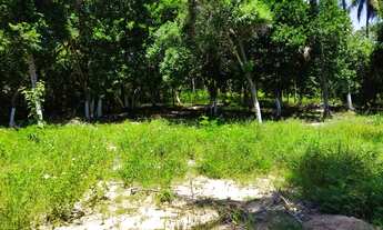 Imagem 3: TERRENO EM IMBASSAÍ