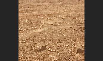 Imagem: CARMELO!!!!LOTE 120 METROS $$ 40.000