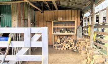 Imagem 6: Sitio 30.000 m² em Alfredo Wagner-Serra Catarinense