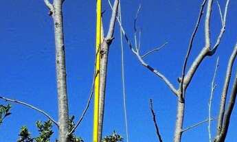 Imagem 2: Vendo sítio com 3 há!