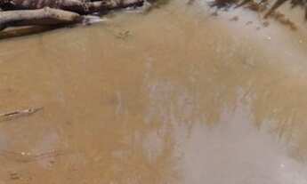 Imagem 4: Fazenda Próximo a MONTES CLAROS!!!980 HECTARES!!!