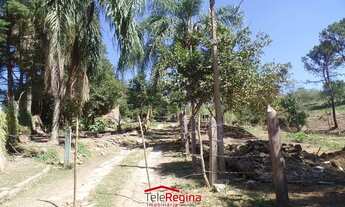 Imagem 3: CHÁCARA PARA VENDER COM 1 DORMITÓRIO EM CAÇAPAVA