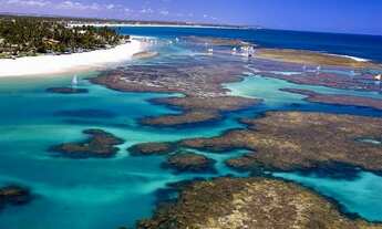 Imagem: Flat a Beira Mar da praia do Cupe - Porto