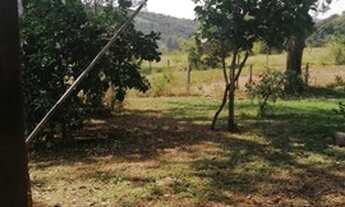 Imagem: CHACARA MUNICIPIO DE BELA VISTA 50 KM DE