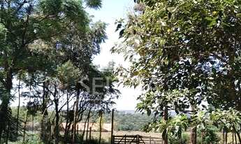 Imagem 3: Chácaras em cascavel/pr - Apenas 6,5 km do Trevo Cataratas