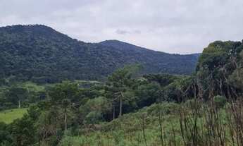 Imagem 2: Urubici- Serra Catarinense - Sitio 20.000 m²