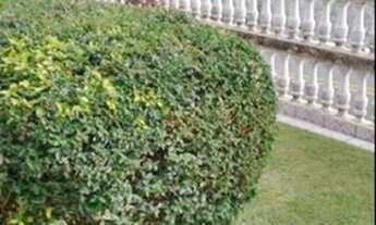 Imagem 3: Locação de casa em amplo terreno no Jardim Planalto em Arujá!!!