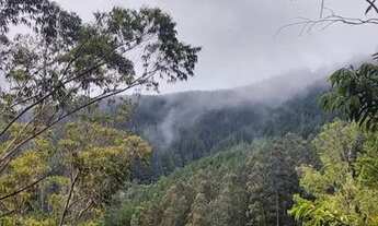 Imagem: Belíssimo sítio em Anitápolis SC