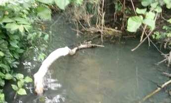 Imagem 10: Vendo uma colônia de 632 hectares, com 35 hectares de pasto mais 40 hectare