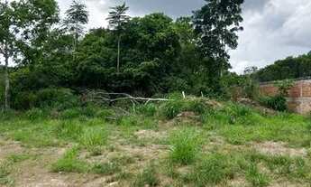 Imagem 3: Terreno na Estrada Manoel urbano km 12