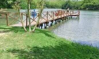 Imagem 2: Lote na etapa 1 no Fazenda Real