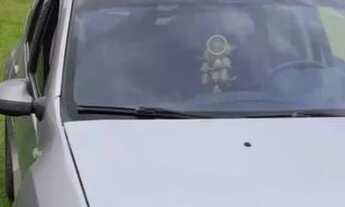 Imagem 7: Troco casa em Praia de leste por casa em Curitiba e região